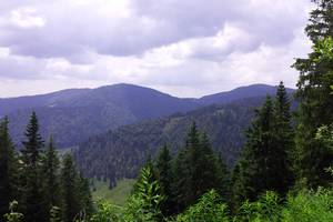 Landschaft Schwarzwald