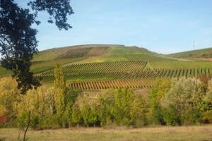 sommerurlaub im naheland